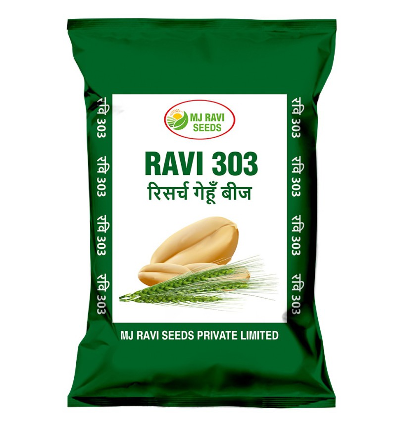 Bag (6)