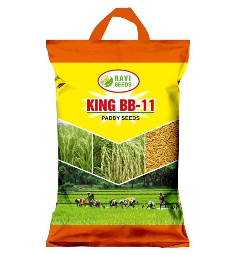 bag 1