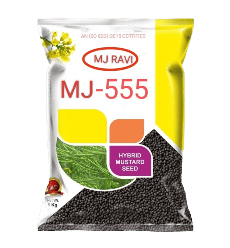 bag 3