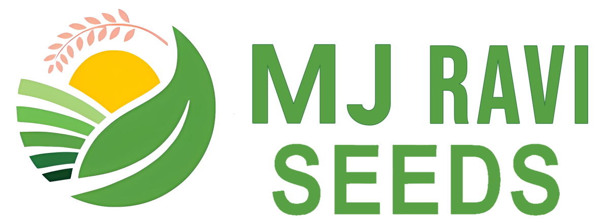 MJ Ravi Seeds